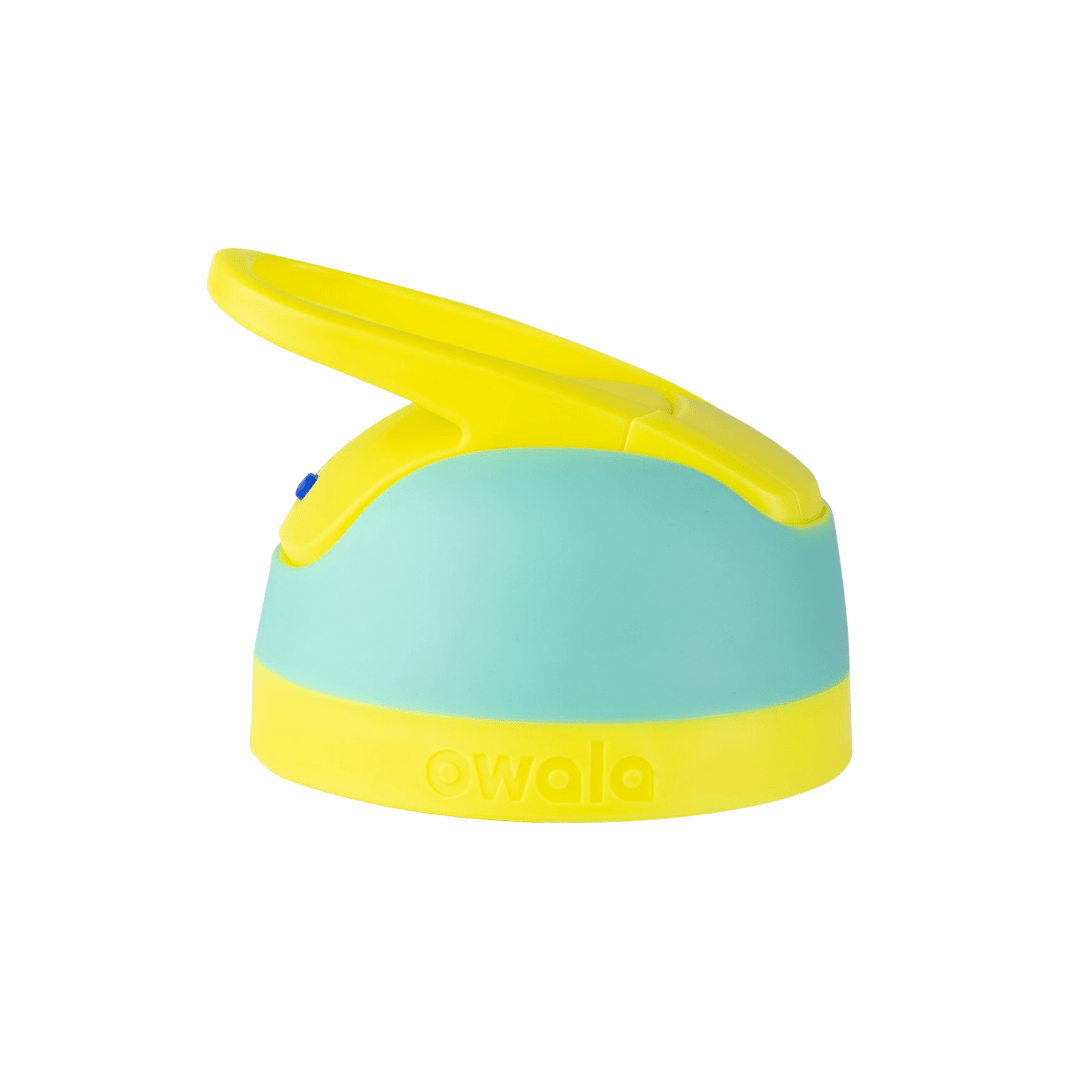 Replacement Lids HEAG