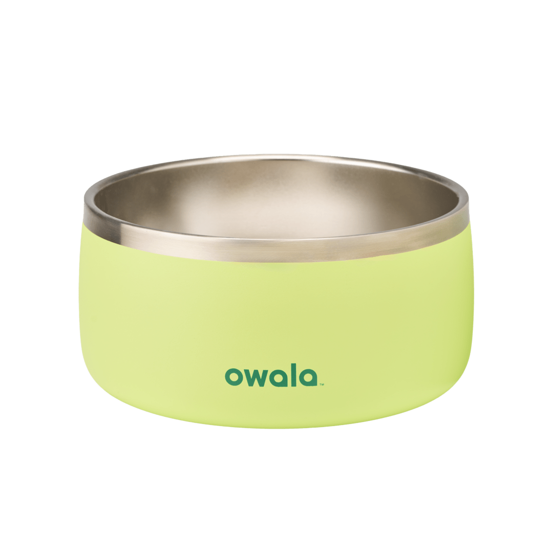 Pet Bowl KB6Q