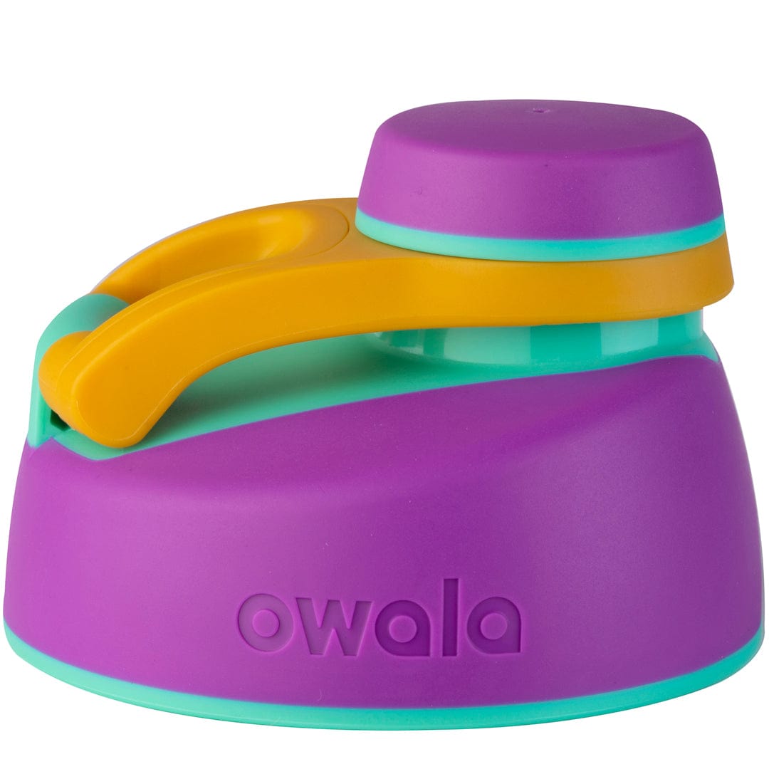 Replacement Lids HEAG