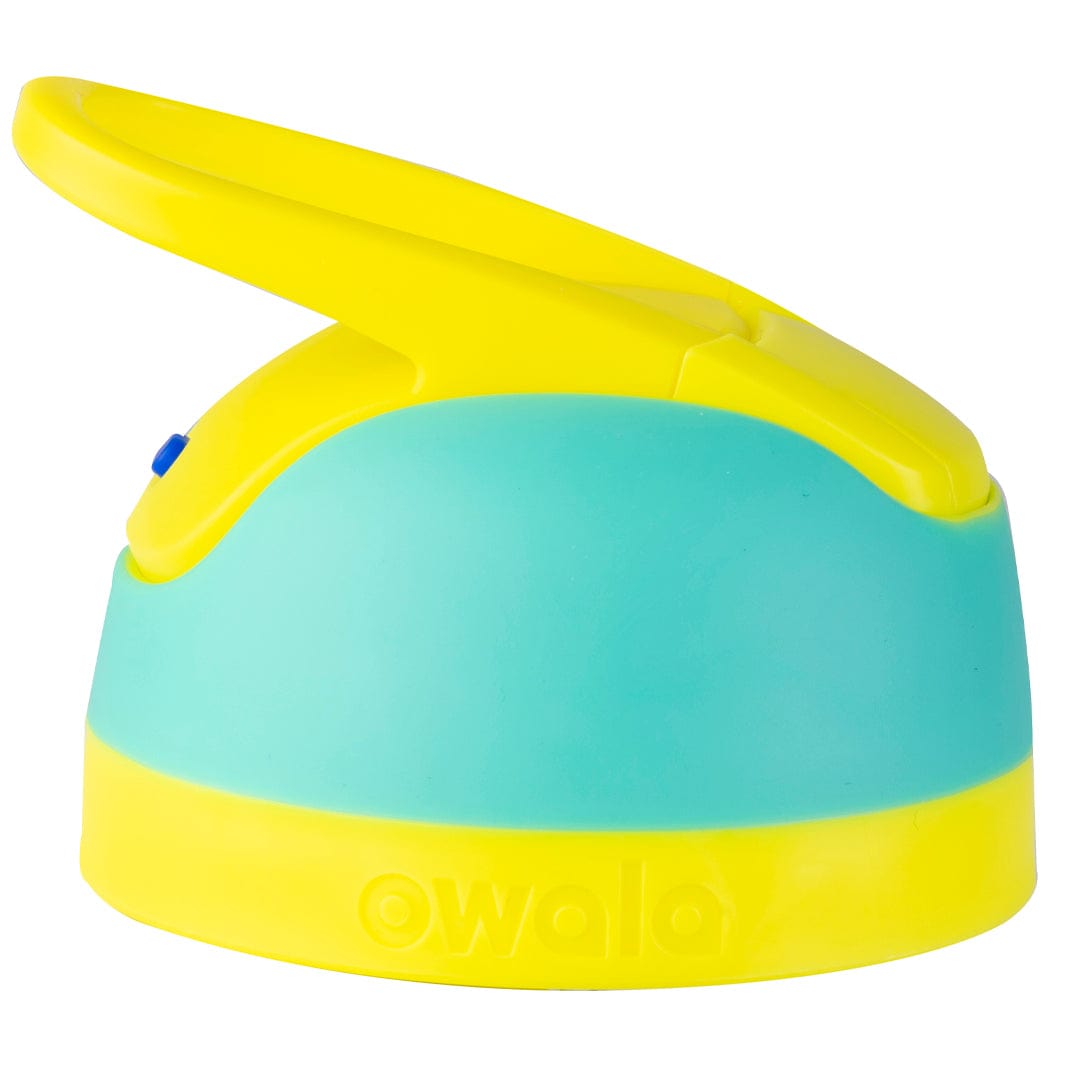 Replacement Lids HEAG