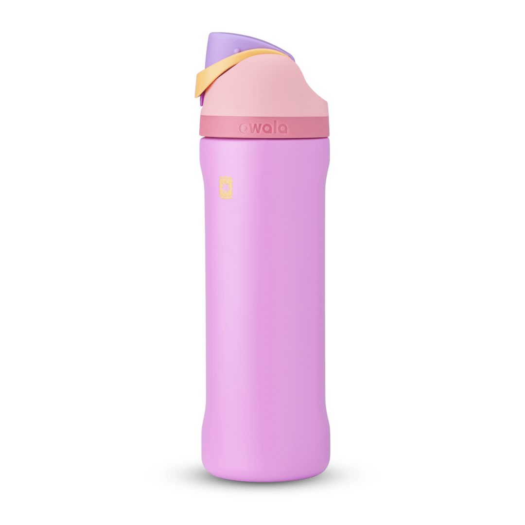 Disney Princess Collection ZUSW