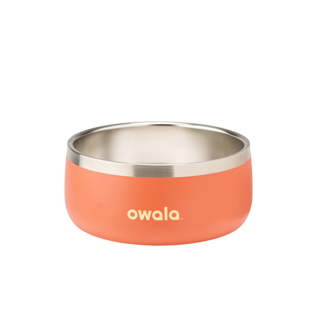 Pet Bowl KB6Q
