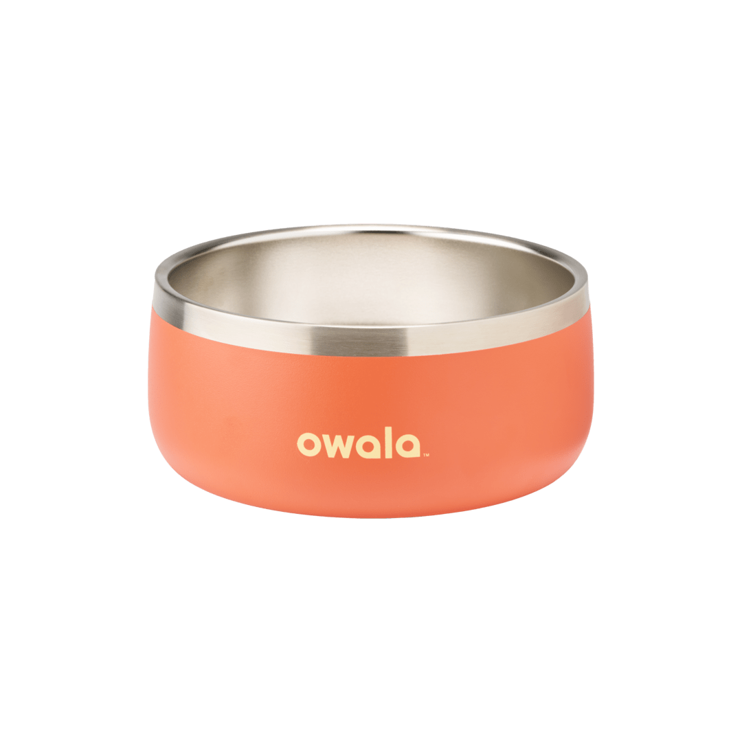 Pet Bowl KB6Q