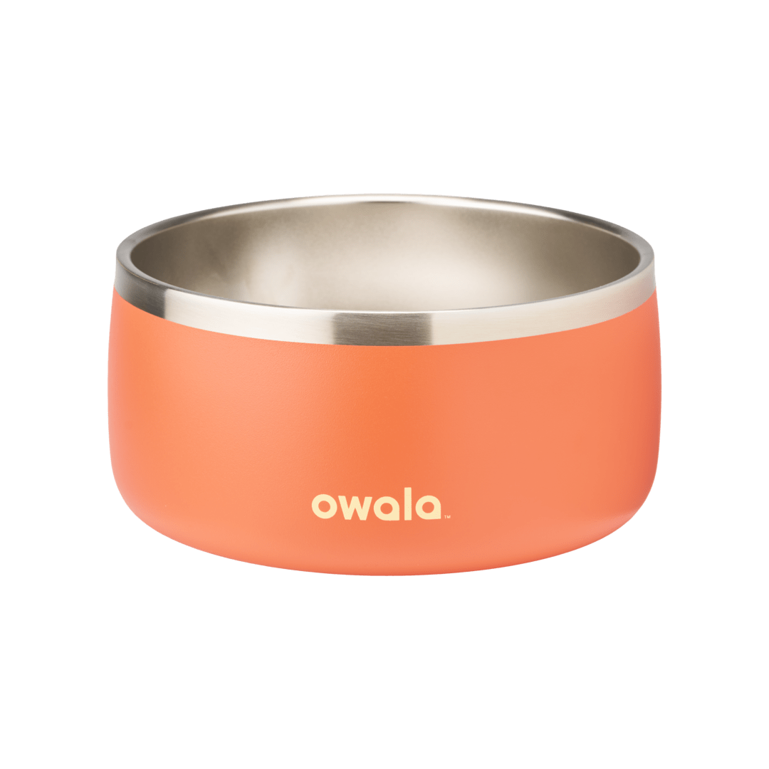 Pet Bowl KB6Q