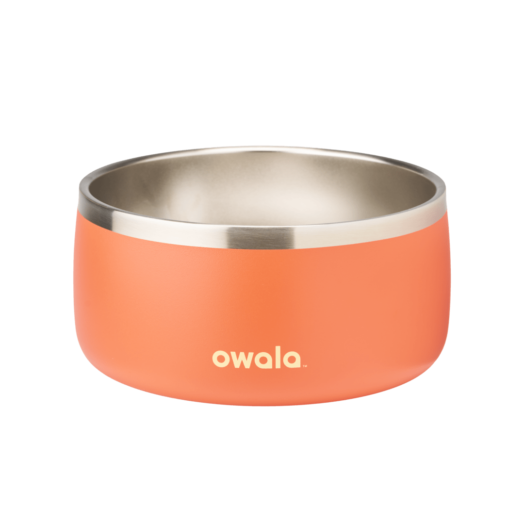 Pet Bowl KB6Q