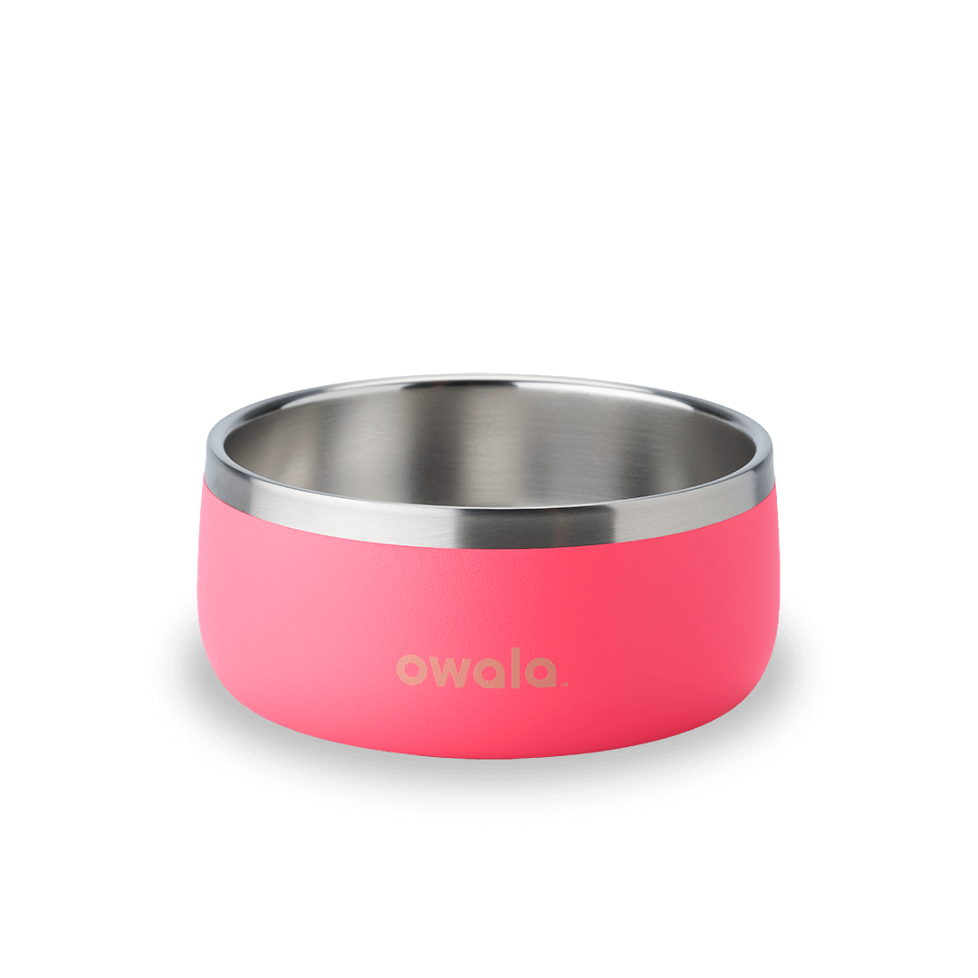 Pet Bowl KB6Q