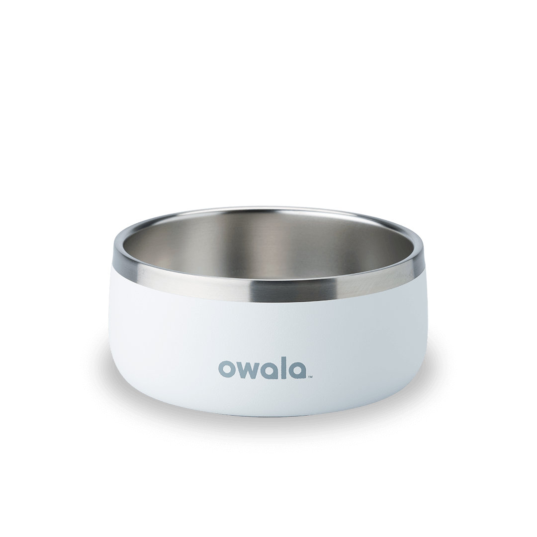 Pet Bowl KB6Q