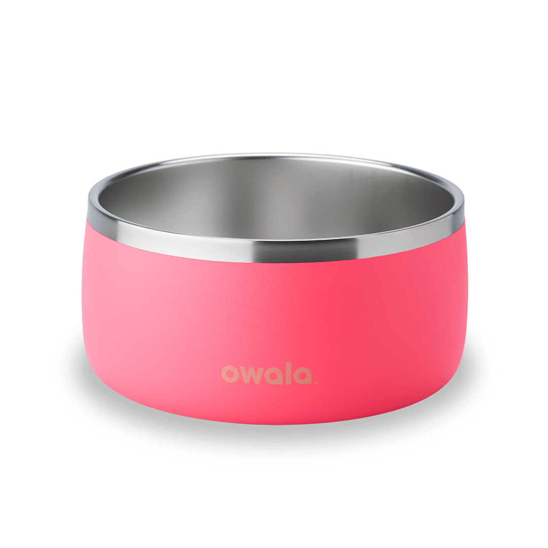 Pet Bowl KB6Q